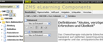 Lerninhalte in LMS/LCMS-Kombination